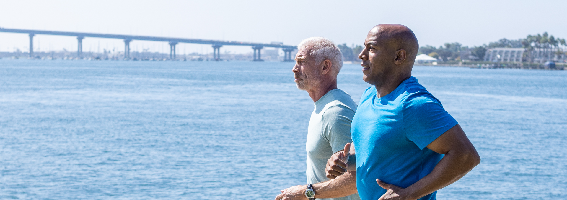 Fenugreek Seed Testosterone: The One Thing You’re Missing to Skyrocket Your Levels