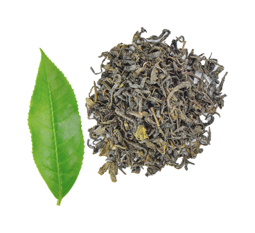 Green Tea Extract