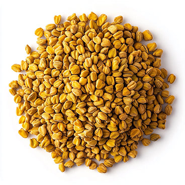 Fenugreek