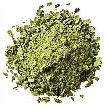 Green Tea Extract