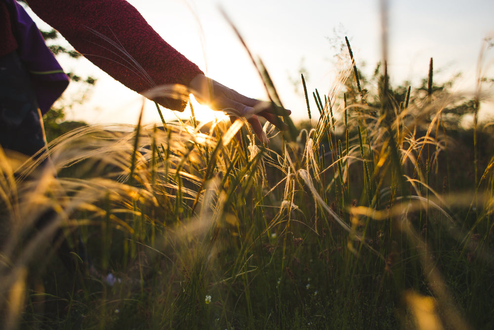 Why a Walk Outside Does More Than Clear Your Head