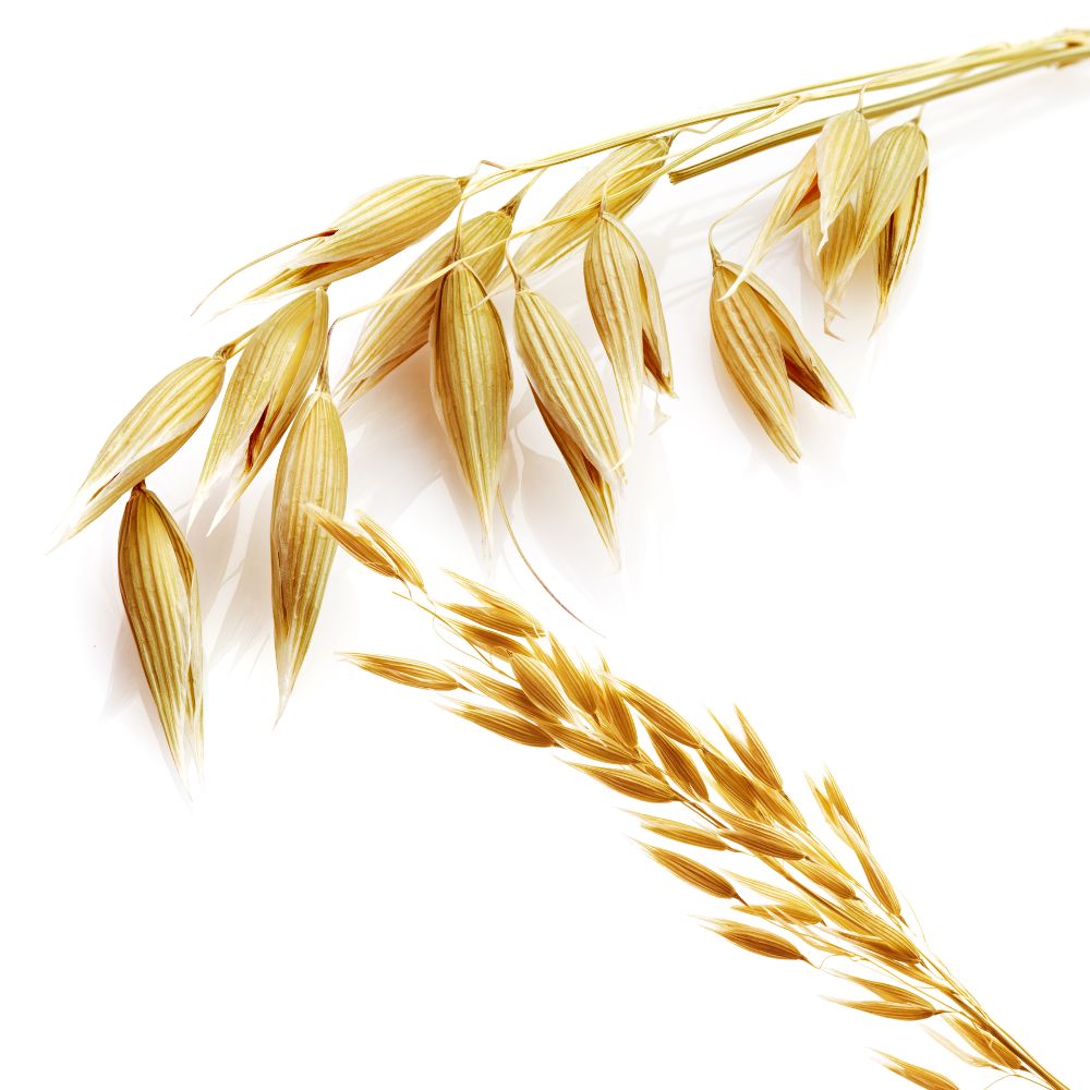 Oat straw benefits you should know about.