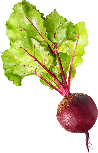 Beet Root Powder