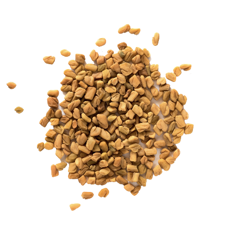 Fenugreek